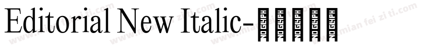 Editorial New Italic字体转换